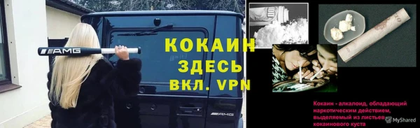 молекула духа Алексеевка