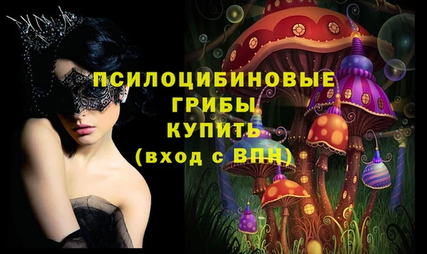 твердый Алексин
