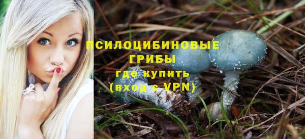 прущие грибы Алзамай