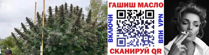 ТГК жижа  как найти закладки  Камышин 
