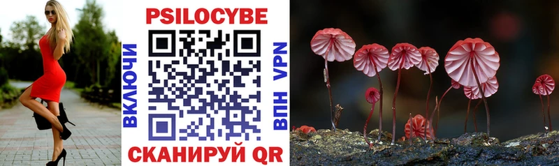Псилоцибиновые грибы Cubensis  Камышин 